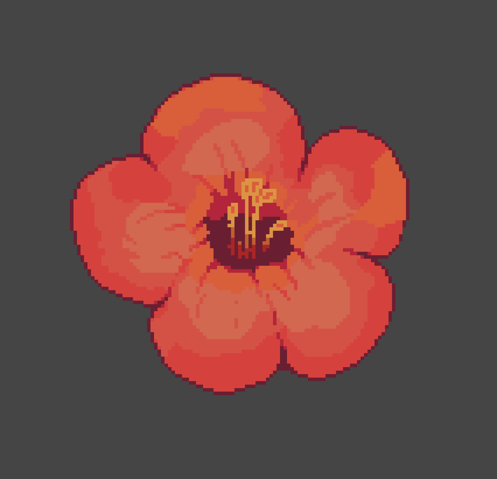 A red flower study